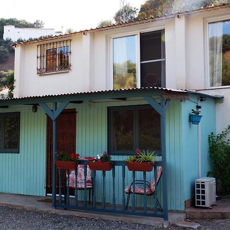 Vegan Guesthouse Finca Pereila Coin Exterior photo