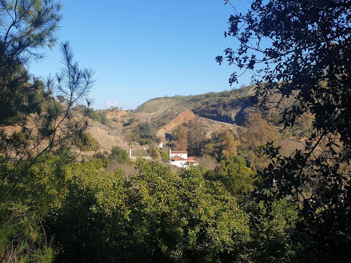 Vegan Guesthouse Finca Pereila Coin Exterior photo